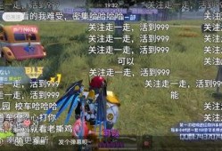 军需最新皮肤实战效果爆料,全新视觉盛宴与实战表现解析