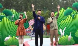 冠县受骗爆料事件视频最新,揭开网络诈骗黑幕，受害者心声引关注