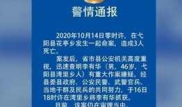 江西当地人爆料案件最新,当地村民揭露惊天大案，真相令人震惊！